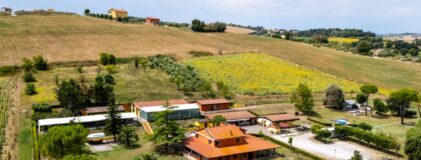 (Italiano) Corsi Scuola 2025-2026